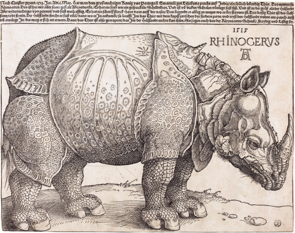 Dürer's Rhinoceros (Wikipedia, public domain)